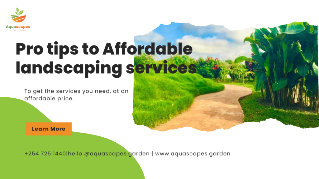 Pro-tips-to-Affordable-landscaping-services