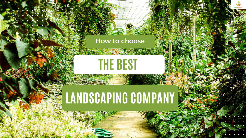 how to choose the best landscaping company