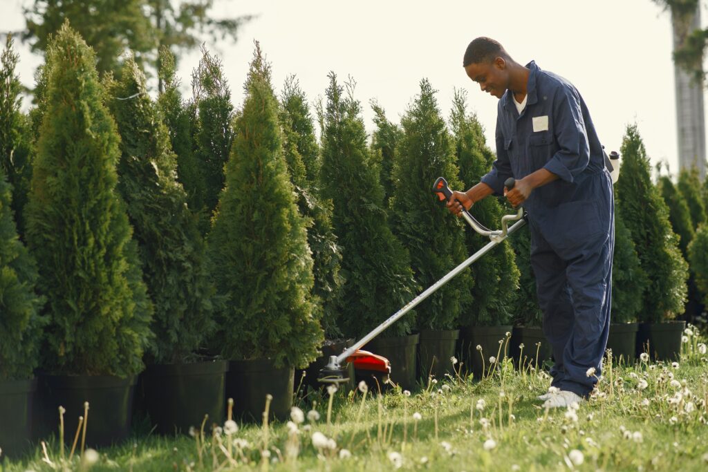 How to Choose a Landscaping Contractor in Kenya: A Step-by-Step Guide