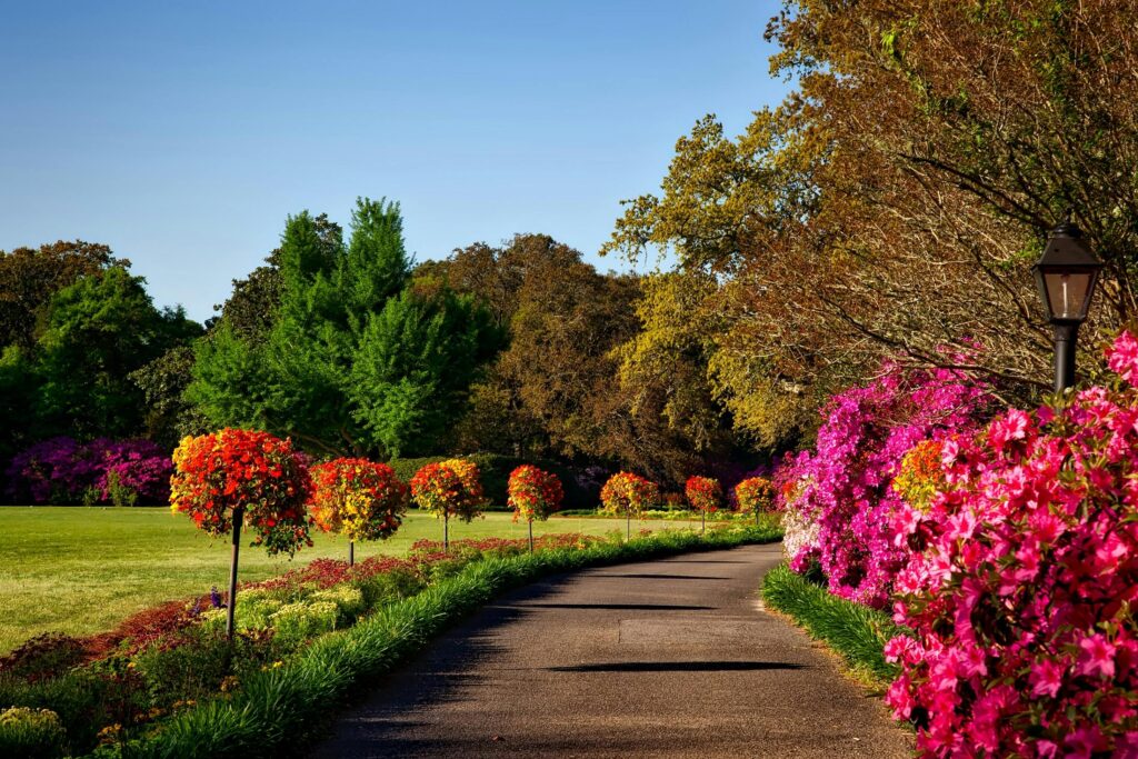 Expert Landscaping Tips for Kenyan Homeowners: How to Maximize Your Outdoor Space