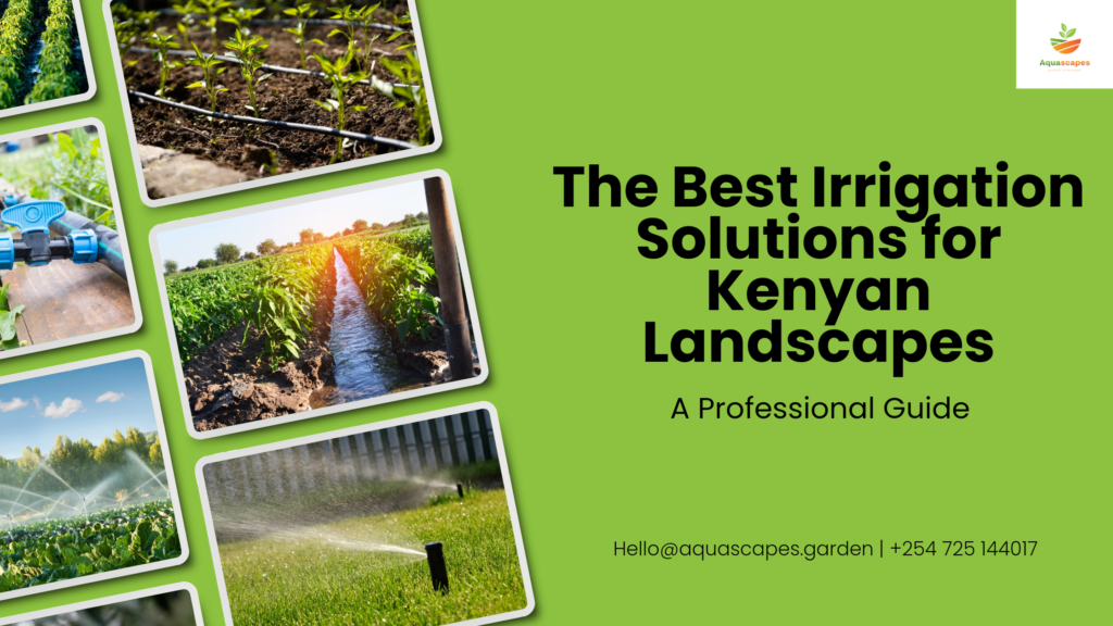 The Best Irrigation Solutions for Kenyan Landscapes: A Professional Guide