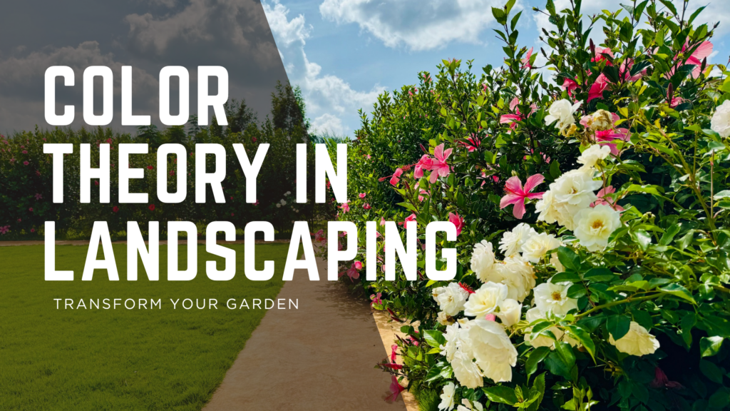 How to Use Color Theory in Landscaping to Transform Your Kenyan Garden