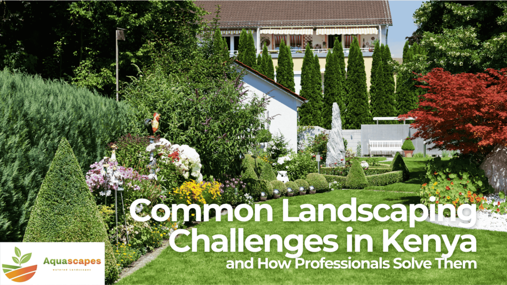 Common Landscaping Challenges in Kenya