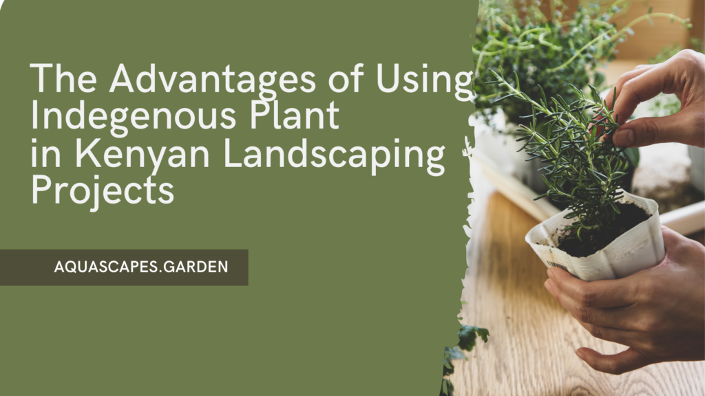 The Advantages of Using Indigenous Plants in Kenyan Landscaping Projects