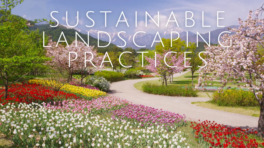 Sustainable Landscaping Practices